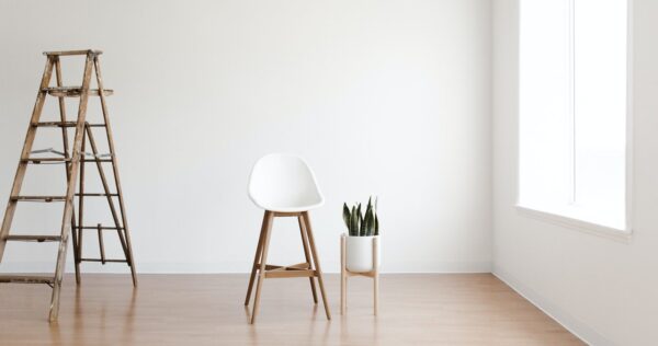 pexels-andrew-neel-7932264